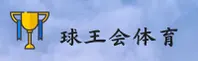 球王会(QWH)官方网站 - 官方正版入口